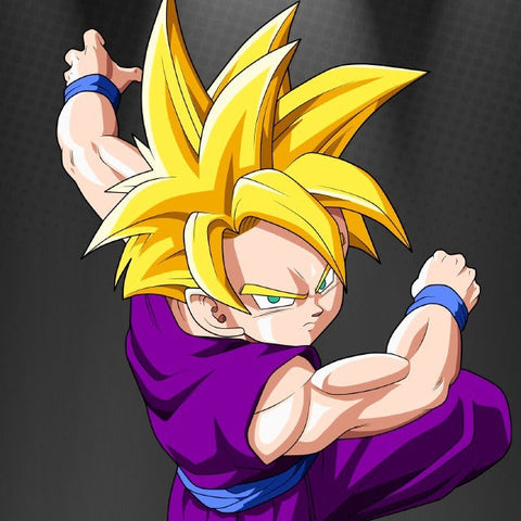 Dragon Ball Z: Kid/ Teen Gohan