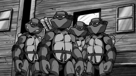 TMNT Forever: Mirage Donnie