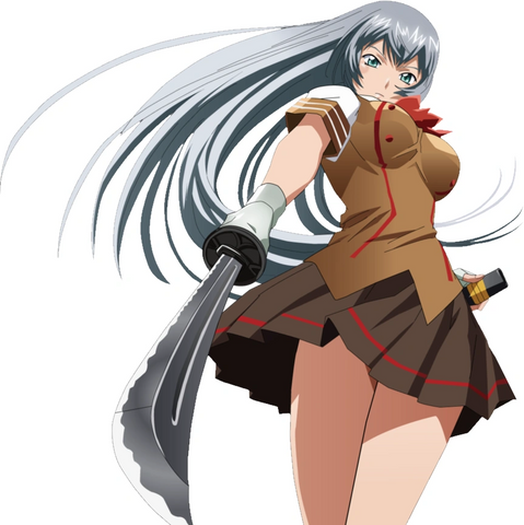 Ikki Tousen: Shiryuu Chou'un
